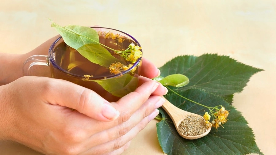 Woman hands hold a cup of linden tea