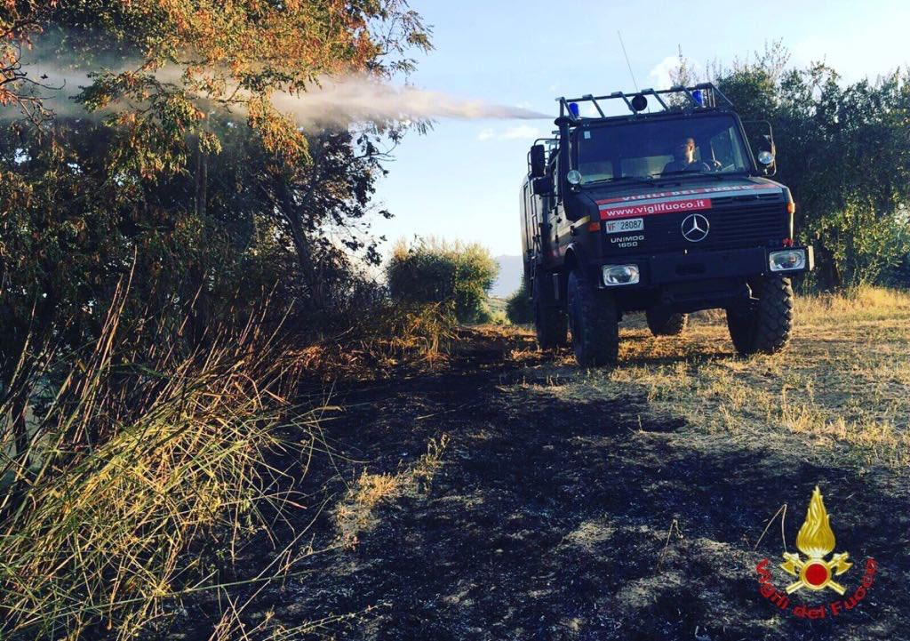 Spegne Un Incendio A Ceglie Messapica E Viene Travolto Da Un Albero ...