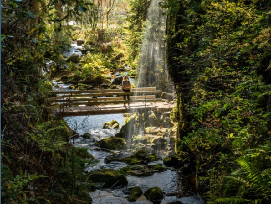 Una cascata lungo un sentiero escursionistico