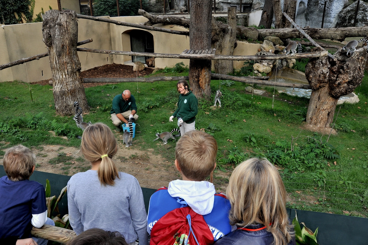 Roma Bioparco