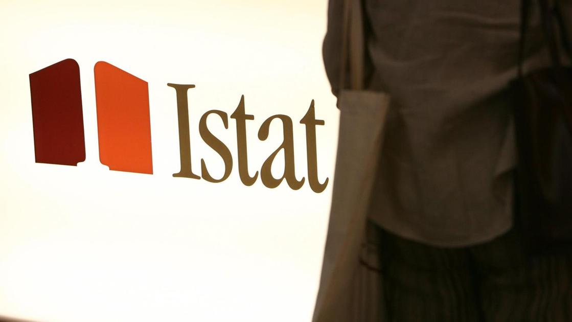 Istat, Pil a +0,5% nel 2024, +0,8% nel 2025