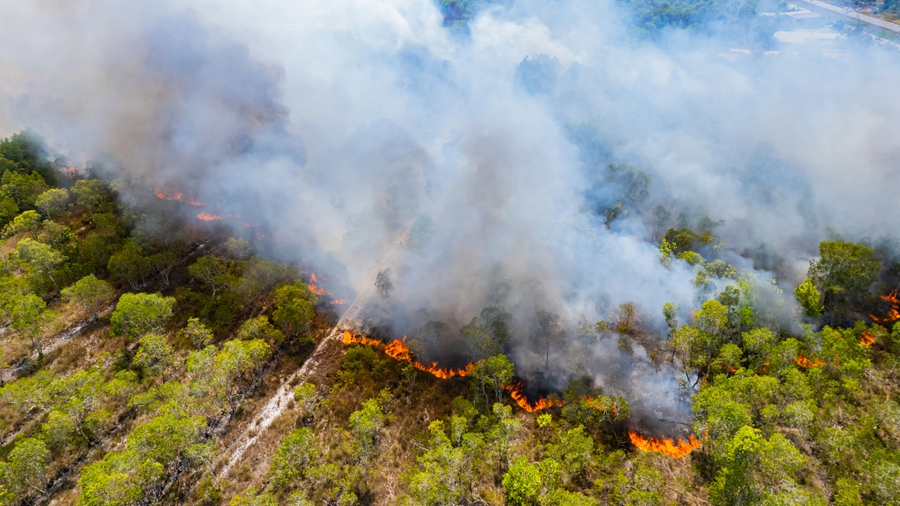 Riscaldamento globale, cambiamento climatico, incendi (foto iStock)