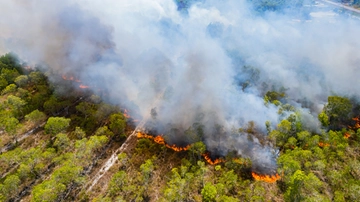 Domenica 21 luglio è stato il giorno più caldo della storia