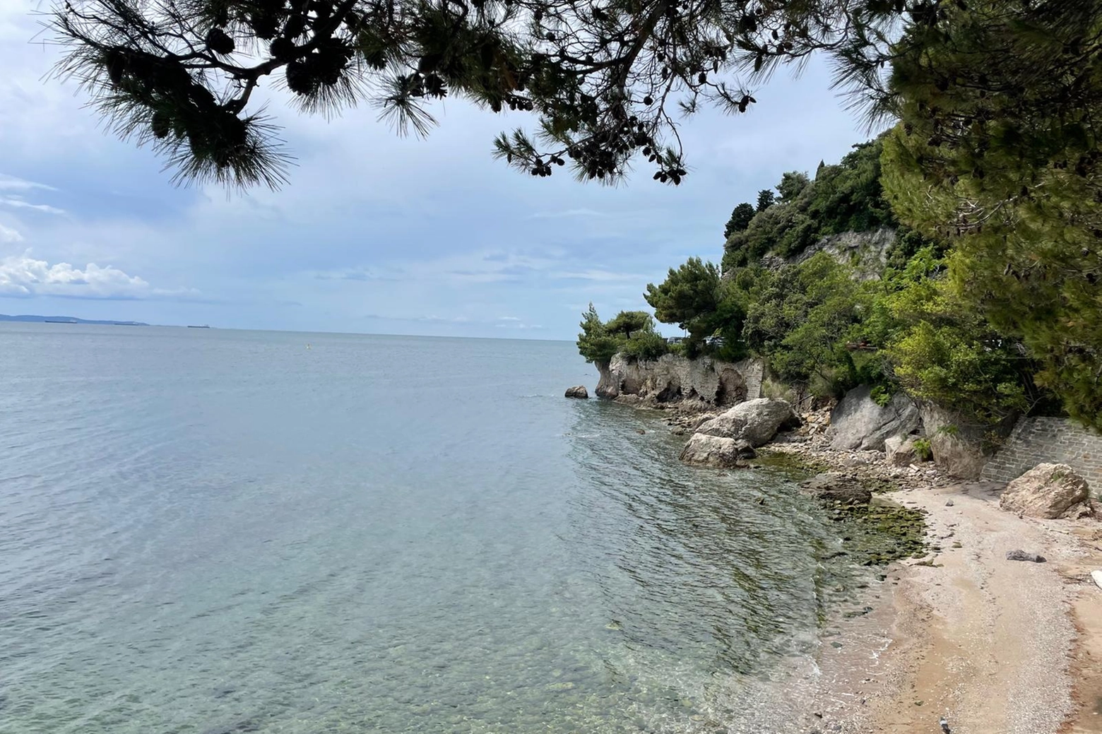 Parte dalla spiaggia sotto il BioMa, l'escursione di Seawatching all'Area Marina Protetta di Miramare a Trieste (foto di Monica Guerci)
