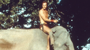 Quando Ron Ely divenne Tarzan per il morso sul set di uno scimpanzé