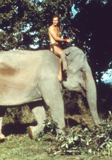 Quando Ron Ely divenne Tarzan per il morso sul set di uno scimpanzé