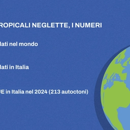 Emergenza malattie tropicali neglette in Italia. “Con il caldo gli insetti aumentano i pasti di sangue”