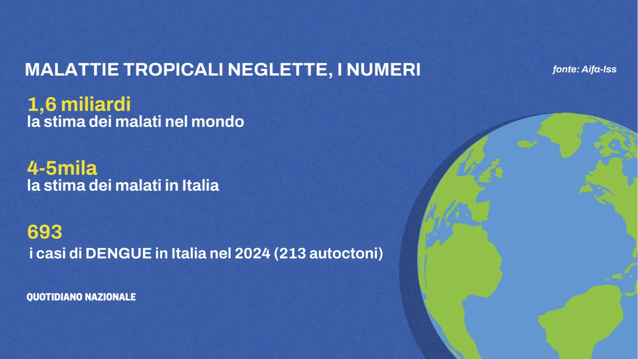 Malattie tropicali neglette, tra 4mila e 5mila le infezioni in Italia (dati Iss-Aifa)