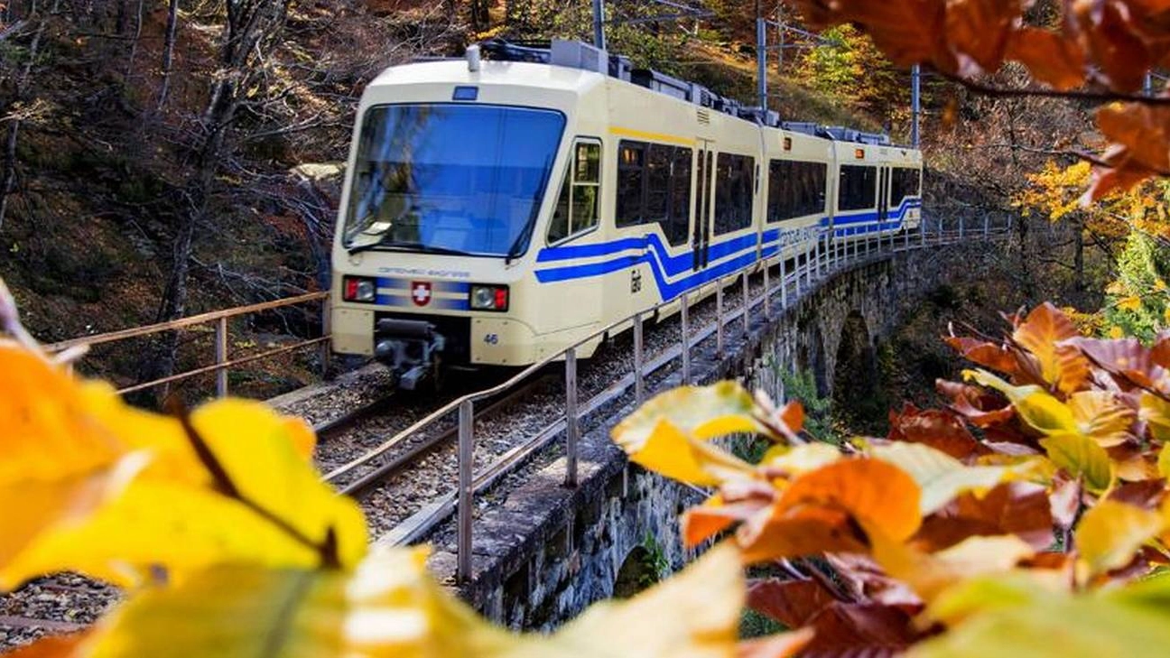 La Ferrovia Vigezzina-Centovalli propone uno splendido itinerario transfrontaliero di 52 chilometri tra boschi, gole e pianori. Dal 12 ottobre al 17 novembre 2024: informazioni, prezzi e biglietti