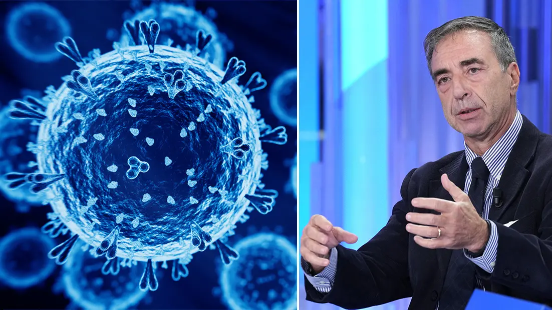 Influenza aviaria, l’epidemiologo Ciccozzi: “Contagio da uomo a uomo mai provato. Ma c’è il rischio mutazione”