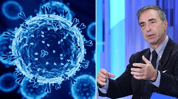 Influenza aviaria, l’epidemiologo Ciccozzi: “Contagio da uomo a uomo mai provato. Ma c’è il rischio mutazione”