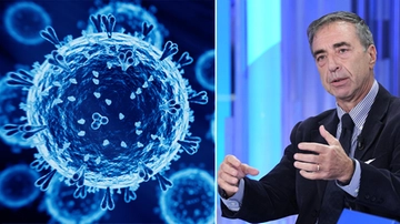 Influenza aviaria, l’epidemiologo Ciccozzi: “Contagio da uomo a uomo mai provato. Ma c’è il rischio mutazione”