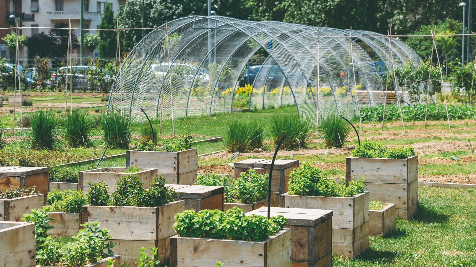 In Emilia-Romagna l'agricoltura urbana è una realtà che offre anche riscatto sociale