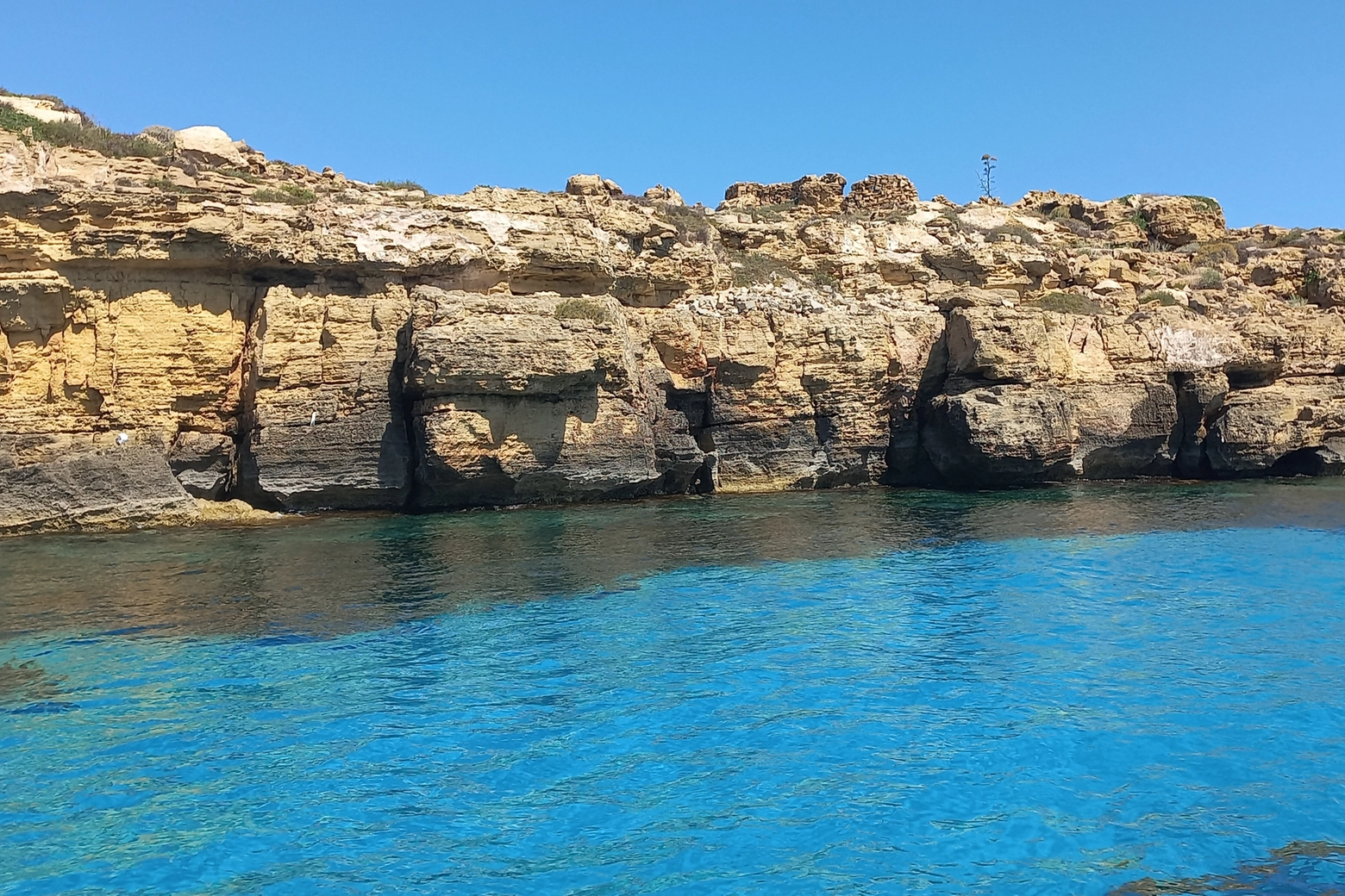 Favigna, l'acqua cristallina favorisce la Posidonia