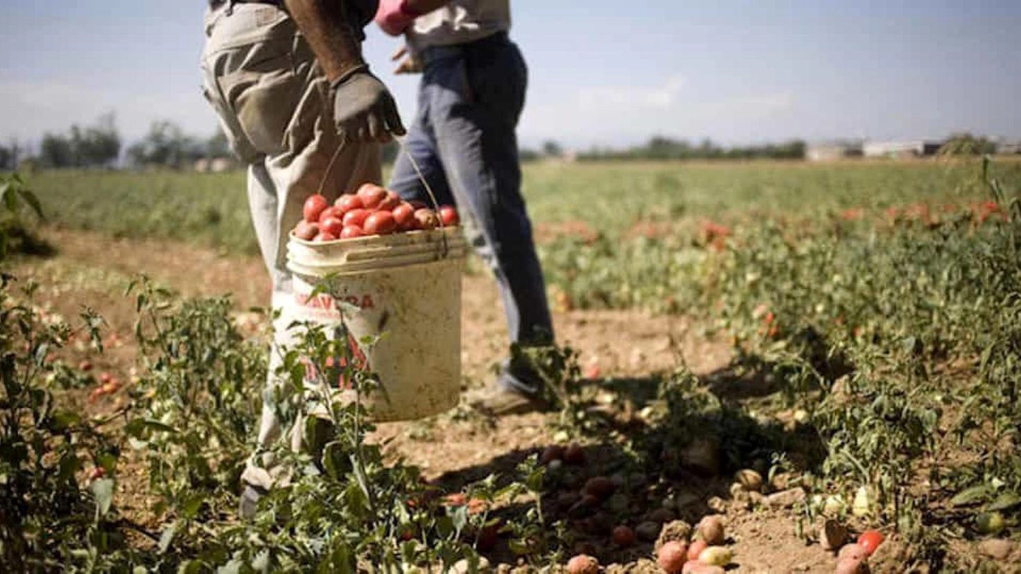 Il bilancio dell'Ispettorato nazionale del lavoro