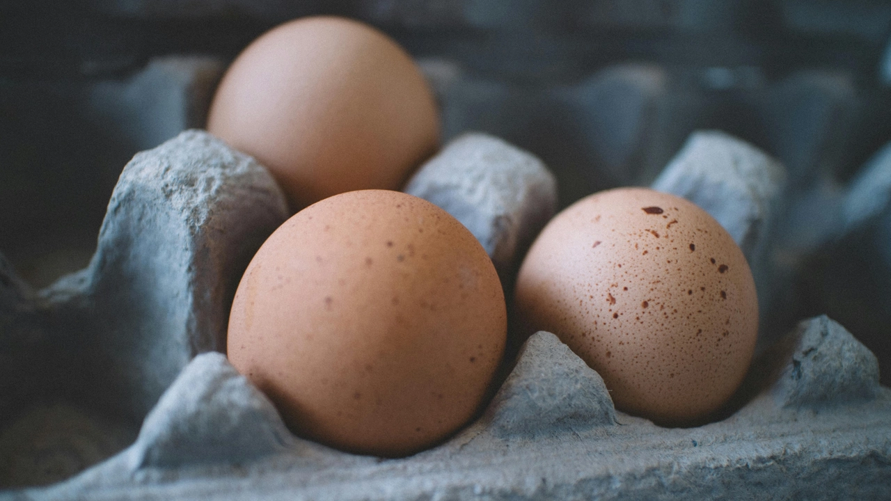 Uova richiamate dai supermercati per rischio salmonella