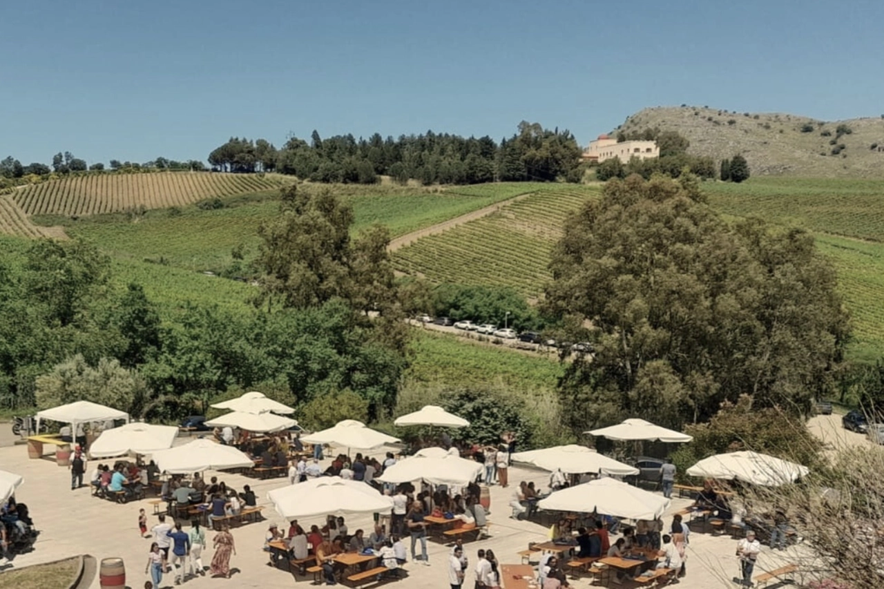 Baglio di Pianetto Cantine Aperte