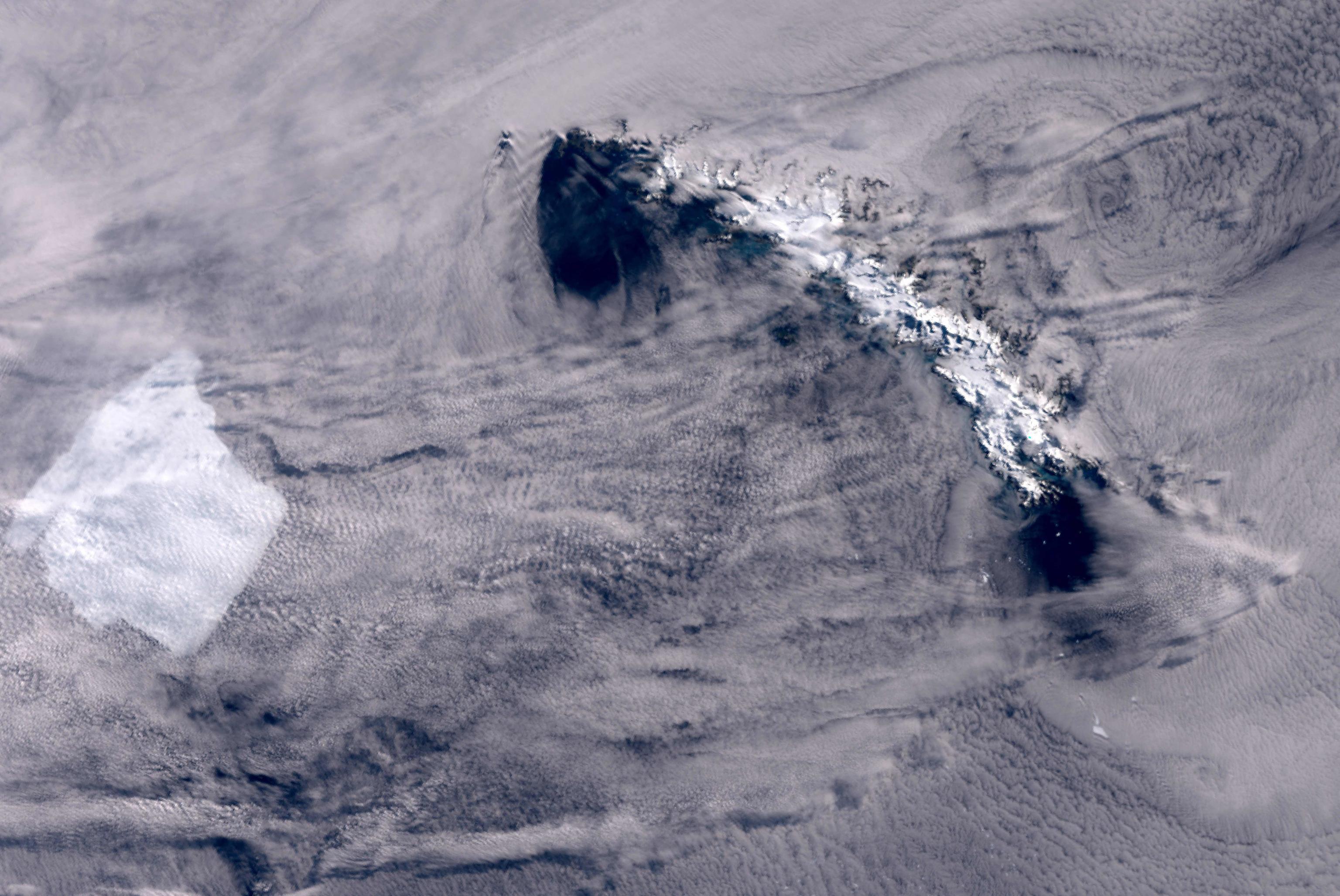 L’iceberg A23 si è arenato a più di 70 chilometri dall’isola della Georgia del Sud. Salvi uccelli marini, pinguini e foche