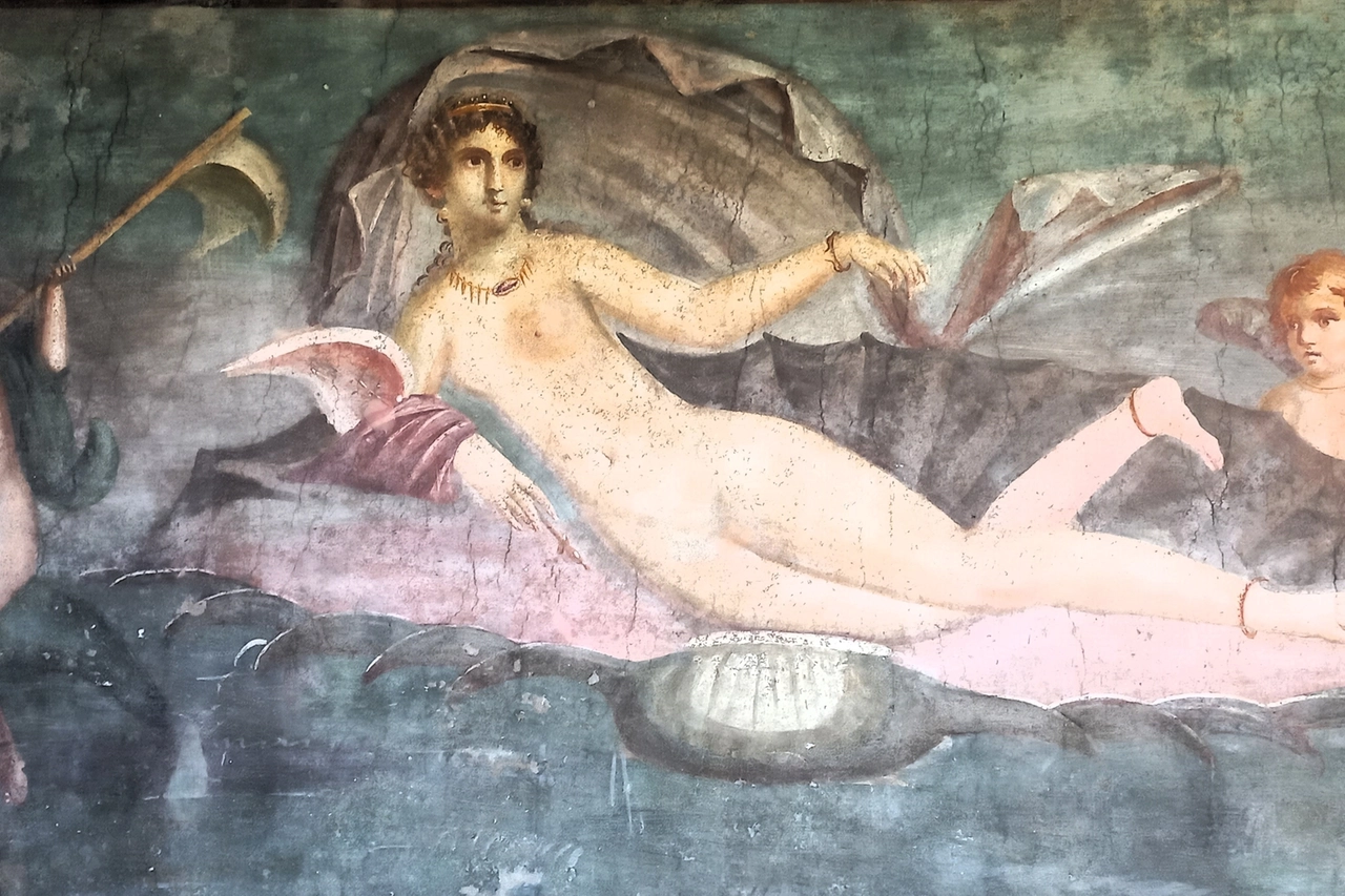 Pompei la Venere in conchiglia