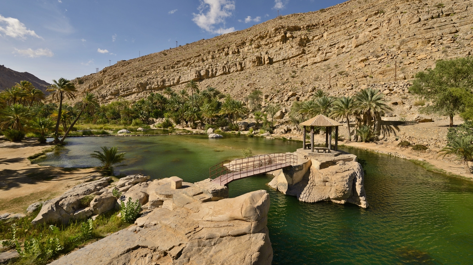 L'oasi del Wadi Bani Khalid