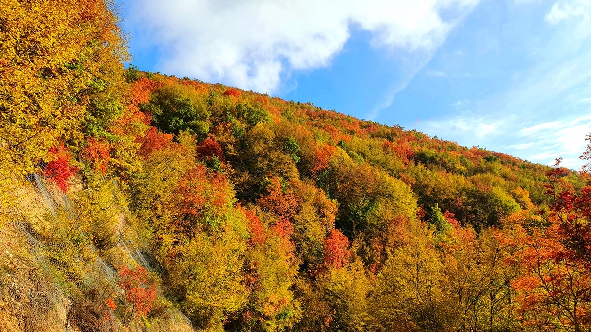 5. Il tipico foliage nel Parco Naturale della Gola della Rossa e di Frasassi - Crediti: Ch