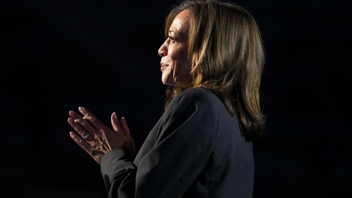 Kamala Harris, chi è la donna che potrebbe diventare la prima presidente degli Stati Uniti