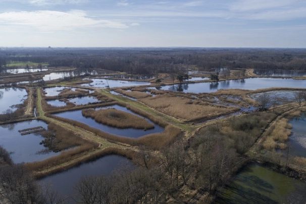 La regione dei Laghi Wijers (foto Visit Limburg)