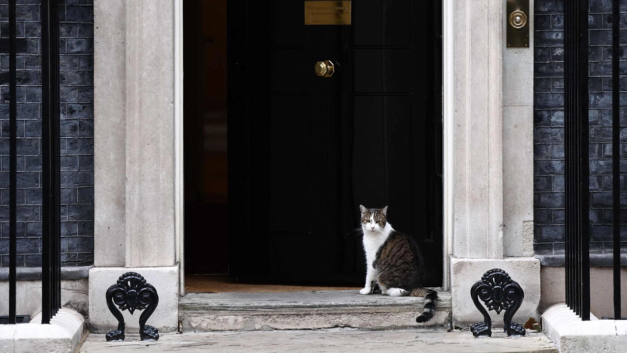 Larry davanti al numero 10 di Downing Street