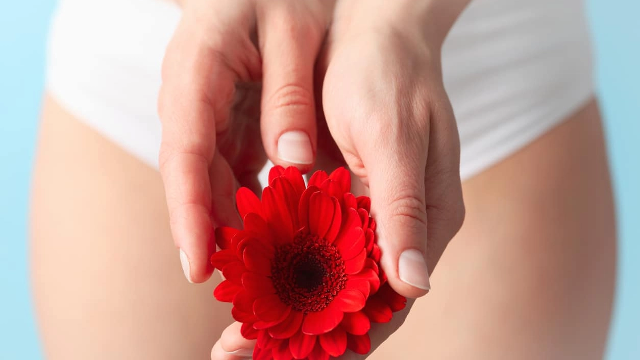 Woman in panties holding gerbera, close up