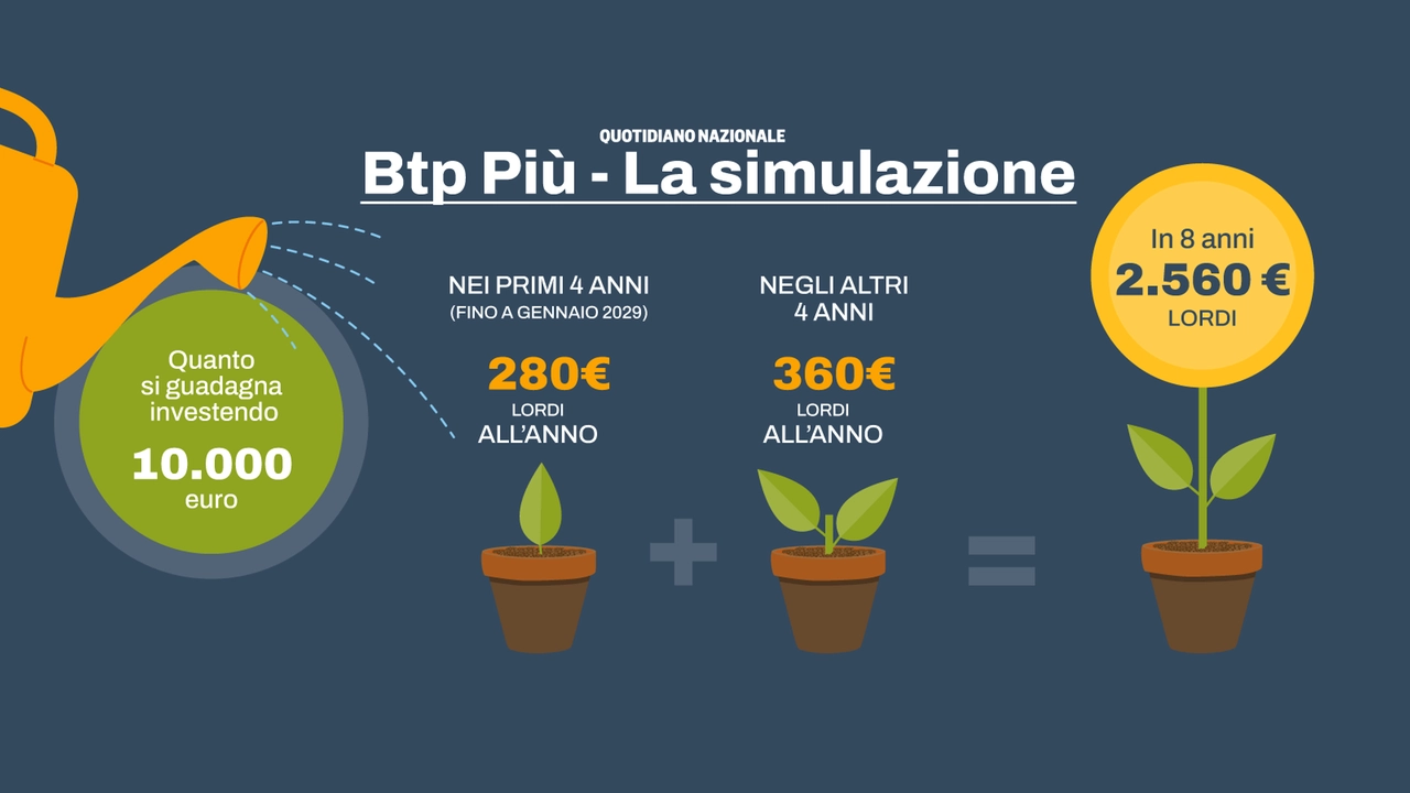 Btp Più febbraio 2025: la simulazione sui rendimenti. Ecco quanto si guadagna investendo 10mila euro