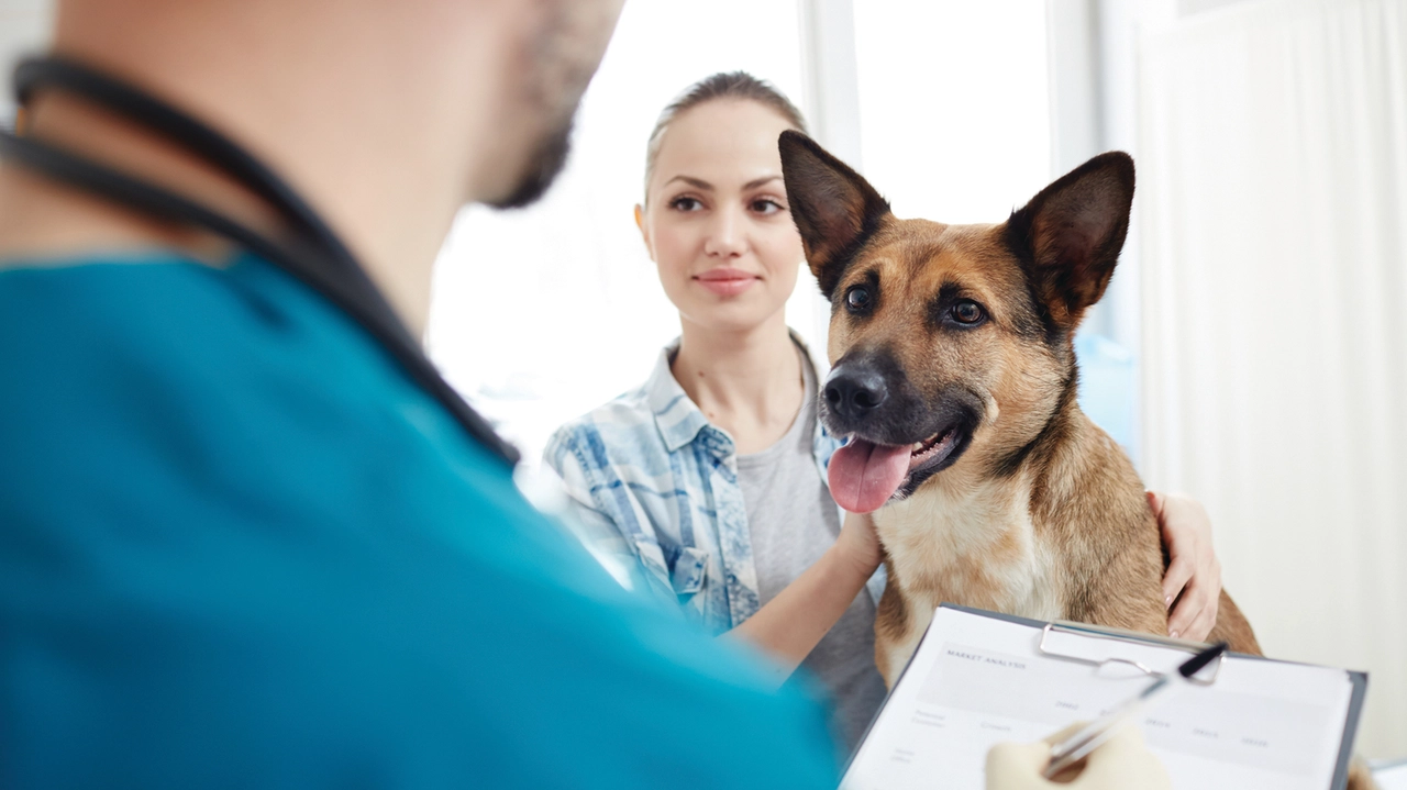 Animali domestici, aiuti per le spese veterinarie