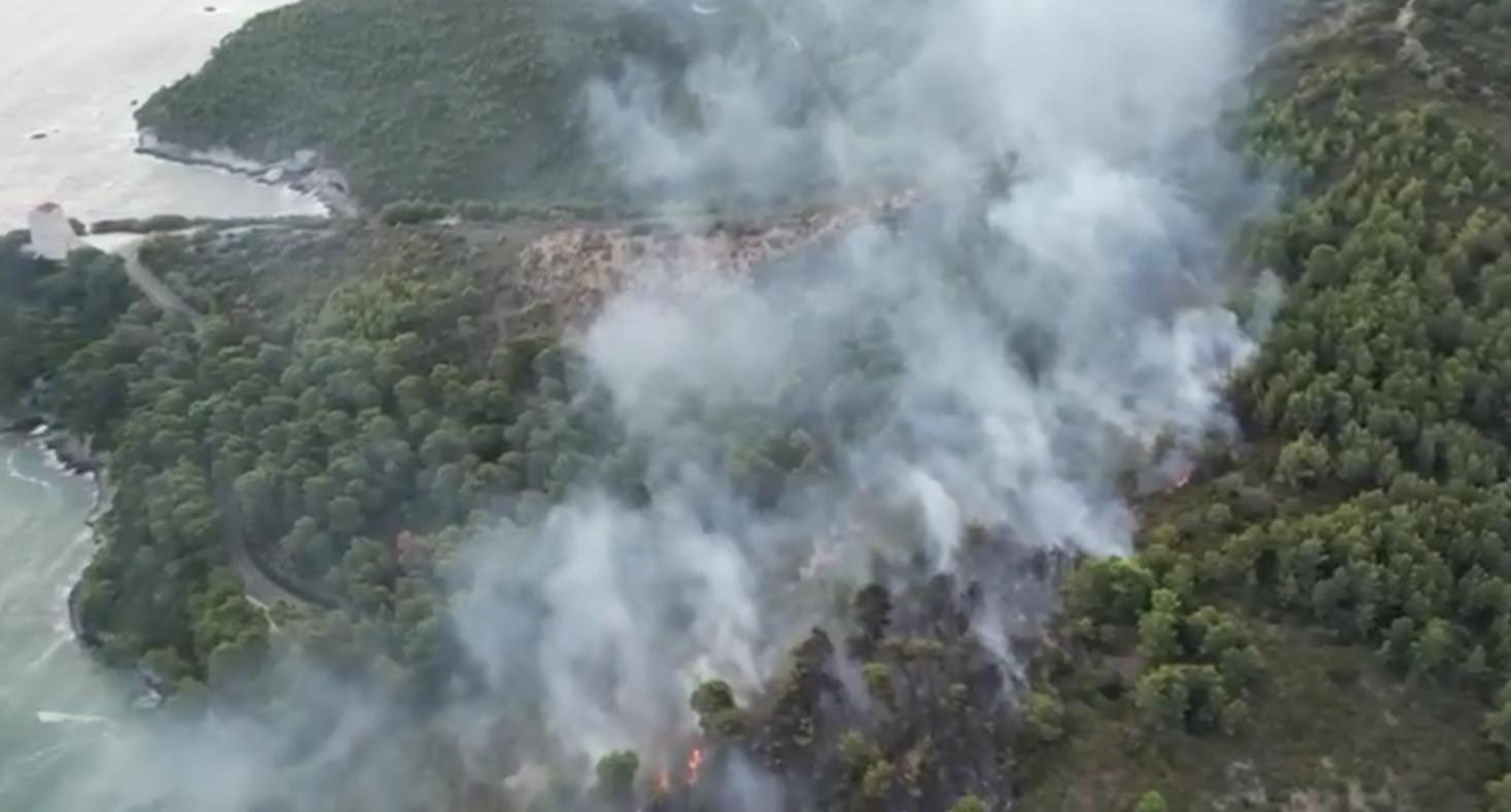 Vasto incendio 