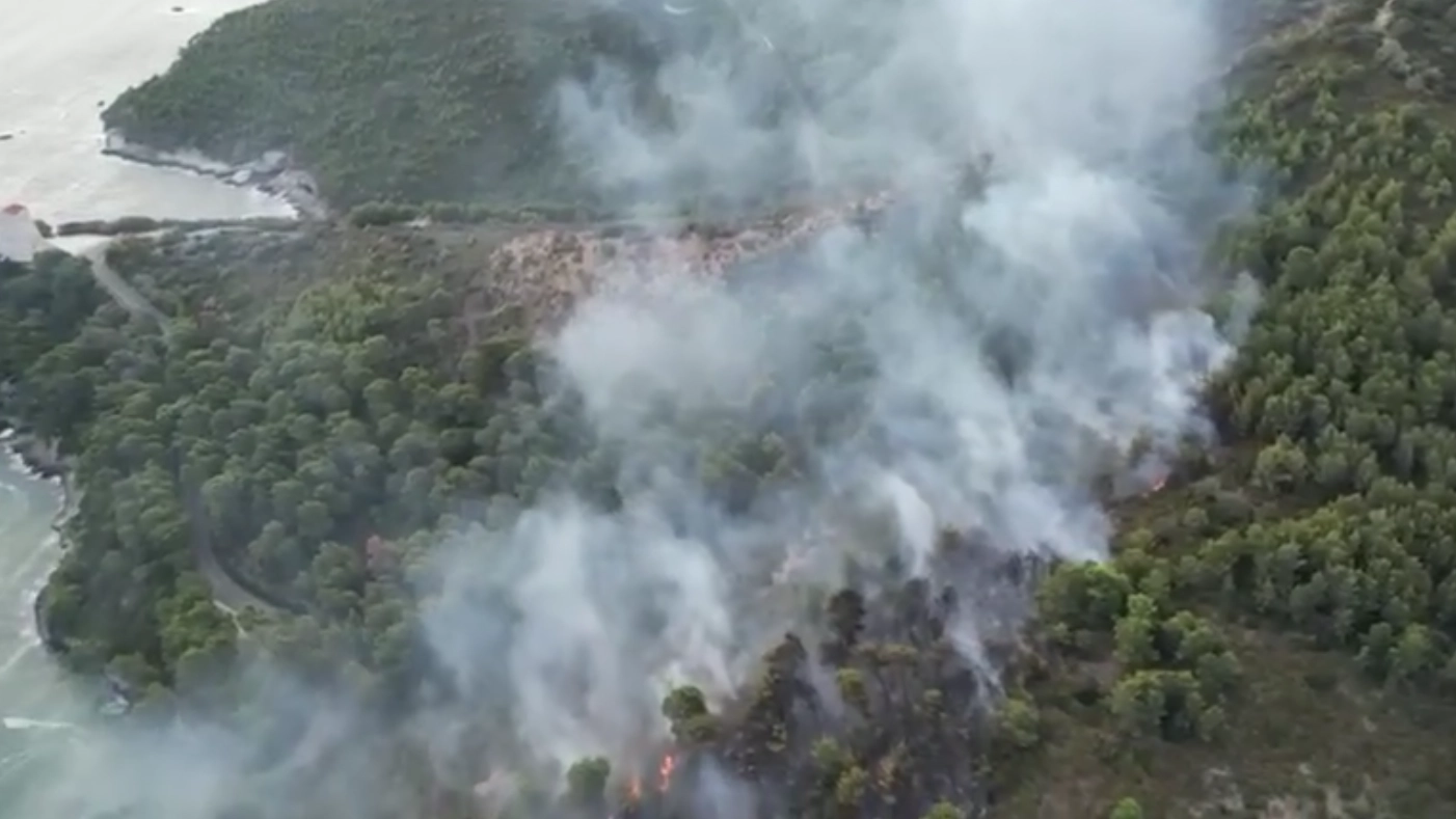 A fuoco il bosco che sovrasta la baia San Felice a Vieste (Fermo immagine da un video di Facebook)