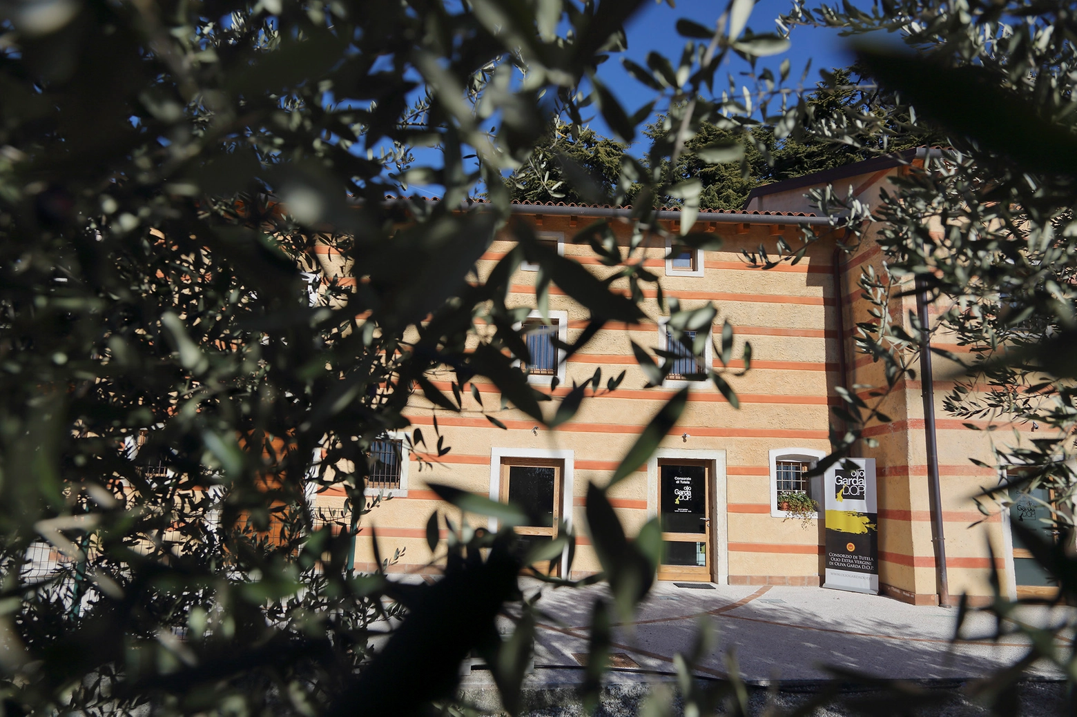 Casa Berengario, sede del Consorzio di tutela dell'Olio Garda Dop