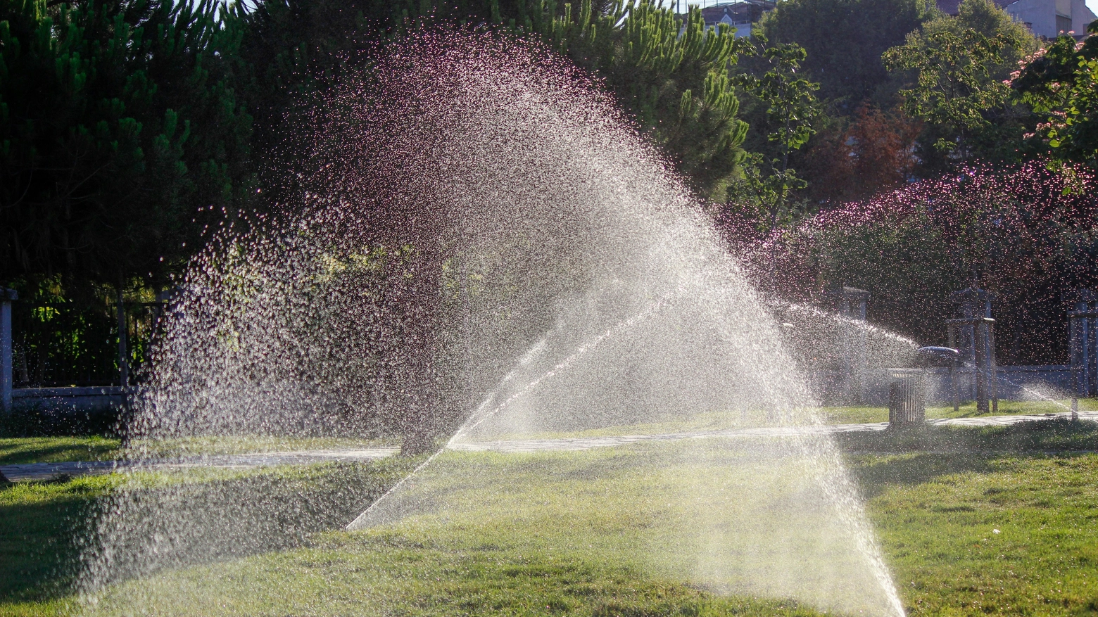 Irrigatore automatico