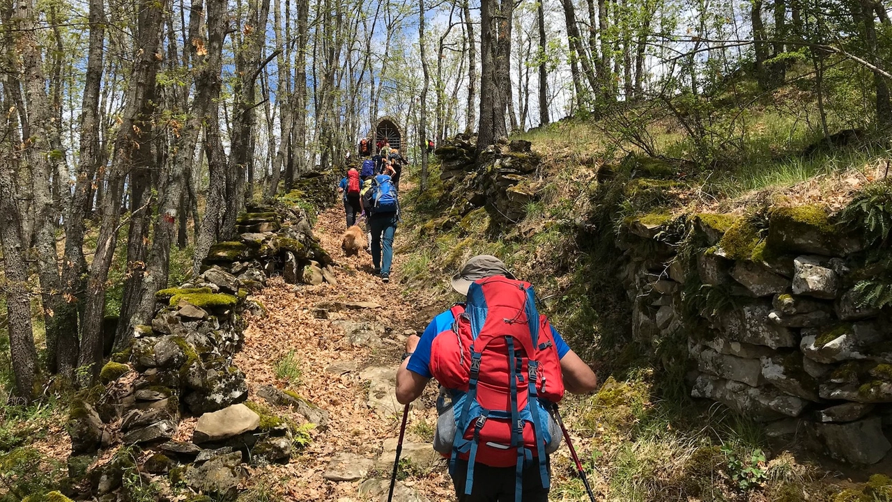 La camminata: il semplice esercizio che aumenta la longevità