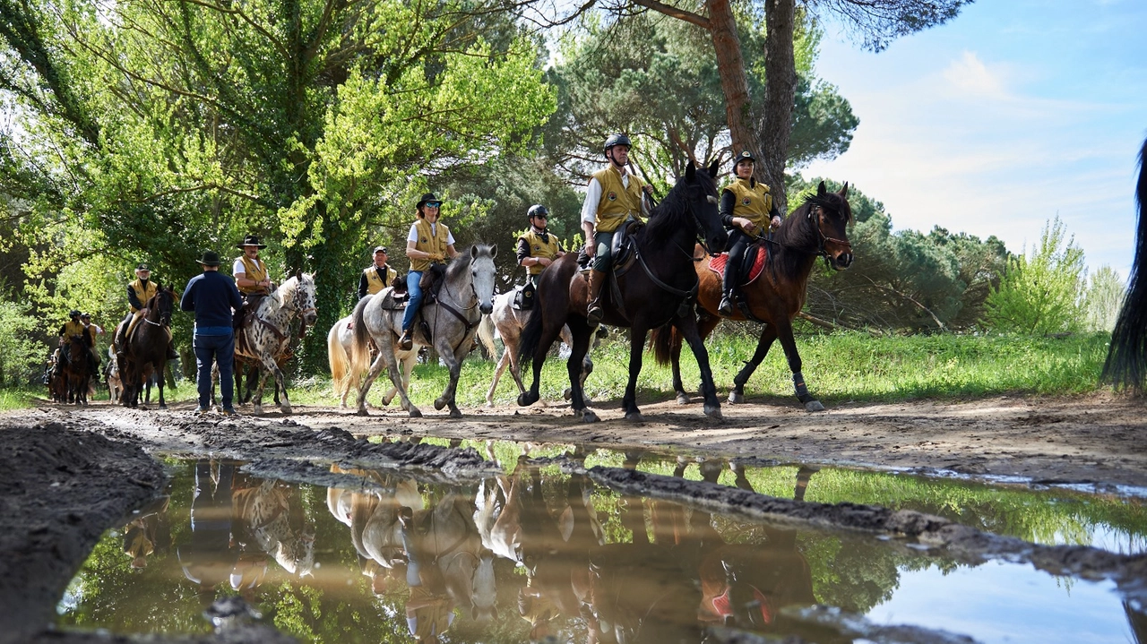 Turismo equestre, ecco il Giubileo a cavallo. In sella verso Roma, tutte le tappe in Italia