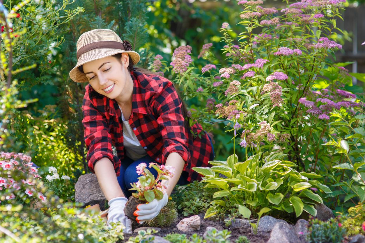 Marzo in giardino: quali fiori piantare per una fioritura spettacolare