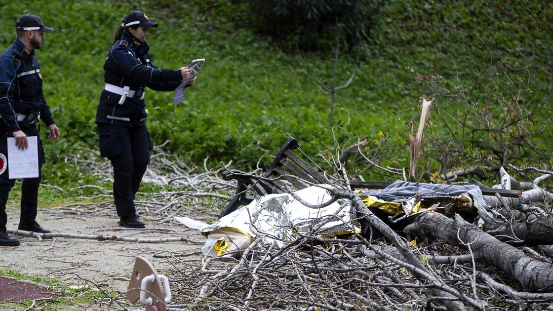 Mamma schiacciata da un albero al parco. Indagato un funzionario del Campidoglio