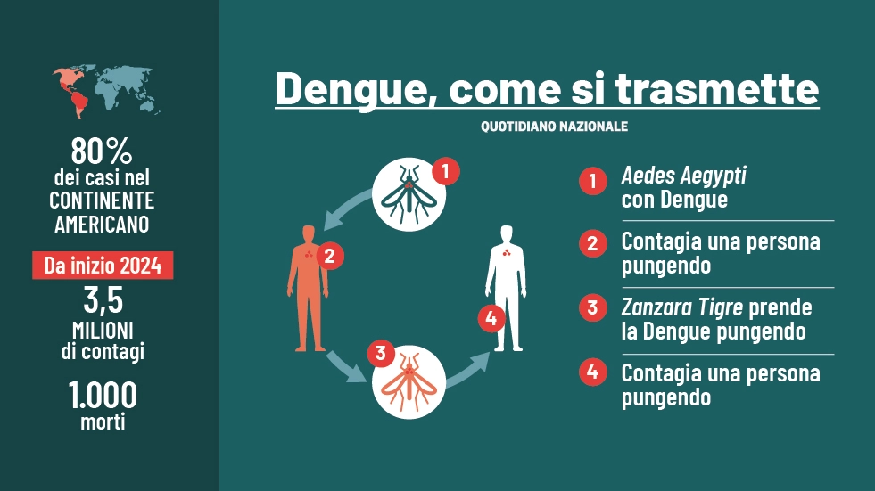 Dengue: l'America prevede nel 2024 la peggiore epidemia della storia