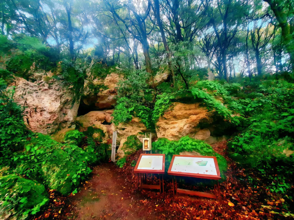 In gita al museo: la Preistoria rivive sul monte Cetona