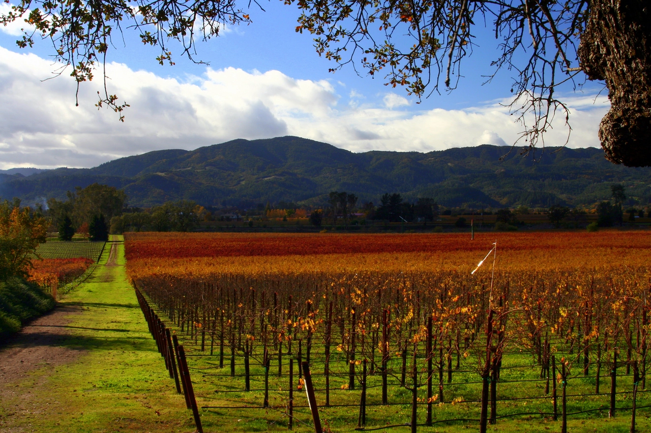 Tra le mete autunnali on the road il Napa Vallery, USA