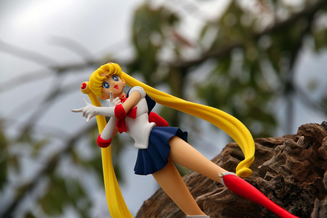 Sailor Moon, il vero significato delle rose di Milord