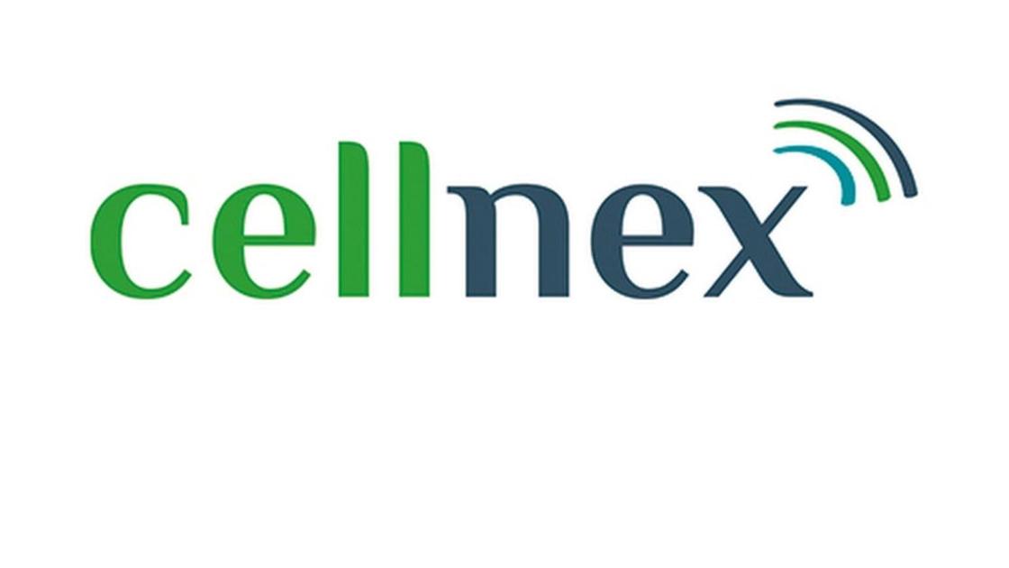 Cellnex raggiunge il break even con un utile di 28 milioni nel 2024