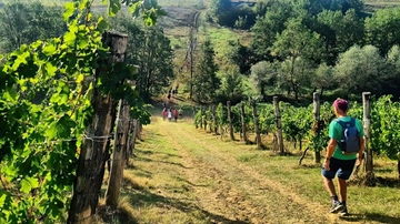 Strada Franca del Monferrato: 10 borghi in 10 tappe tra storia e paesaggi vinicoli