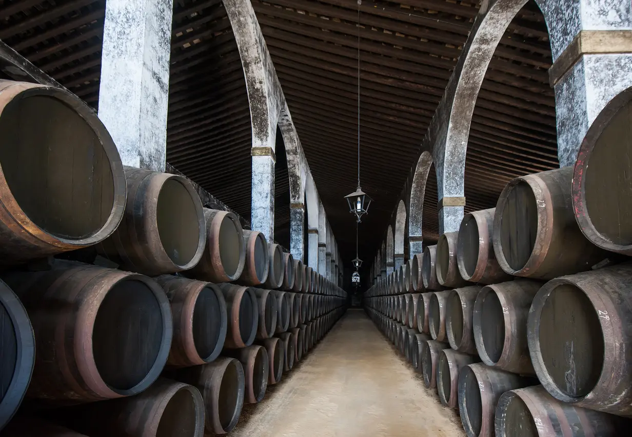 Le Cattedrali del vino del Marco de Jerez, perla enologica di Spagna