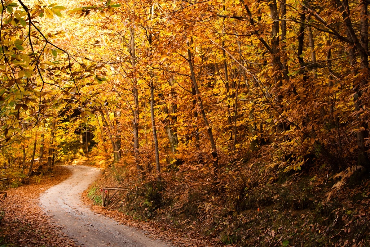 Lo spettacolare foliage della Garfagnana - Crediti Paolo Becarelli