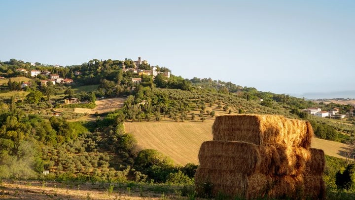 Montegridolfo, fuga nel Medioevo in provincia di Rimini