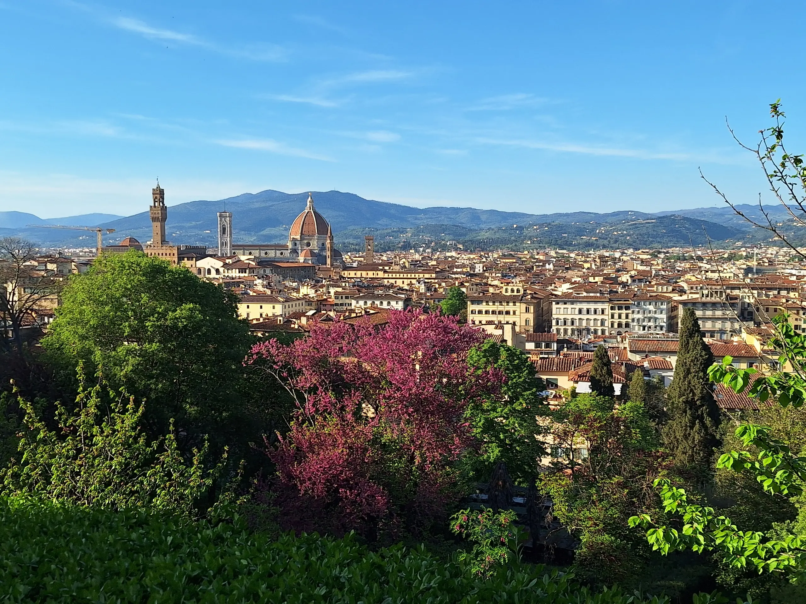 Cinque cose da fare e da vedere a Firenze in primavera