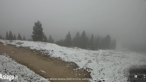 Webcam Cima Verena, Altopiano di Asiago